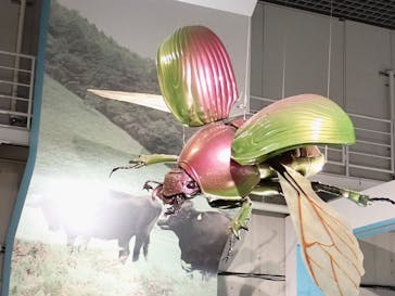 特別展「昆虫 MANIAC」（国立科学博物館）に投稿された画像（2024/10/4）