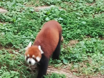 多摩動物公園に投稿された画像（2024/10/4）