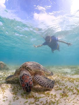 宮古島マリン GB QUESTに投稿された画像（2024/10/4）