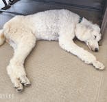 那須どうぶつ王国に投稿された画像（2024/10/4）