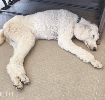 那須どうぶつ王国に投稿された画像（2024/10/4）