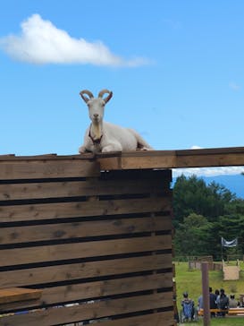 那須どうぶつ王国に投稿された画像（2024/10/4）