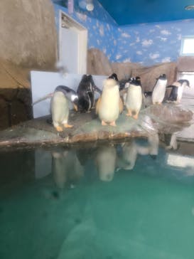 那須どうぶつ王国に投稿された画像（2024/10/4）