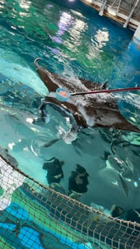 マクセル アクアパーク品川に投稿された画像（2024/10/4）