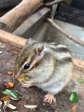 宇都宮動物園に投稿された画像（2024/10/4）