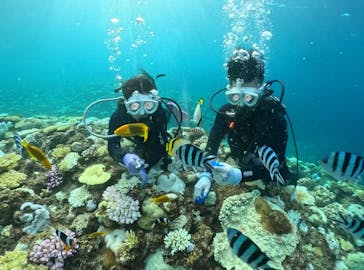 青の洞窟専門店　沖縄ダイビングショップ和に投稿された画像（2024/10/4）