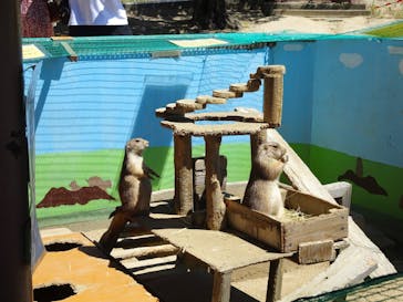 淡路ファームパーク イングランドの丘に投稿された画像（2024/10/4）