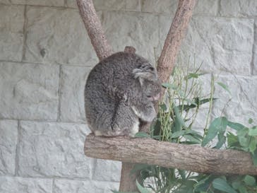 淡路ファームパーク イングランドの丘に投稿された画像（2024/10/4）