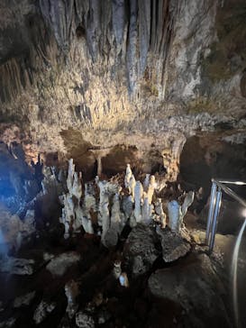 石垣島鍾乳洞に投稿された画像（2024/10/4）