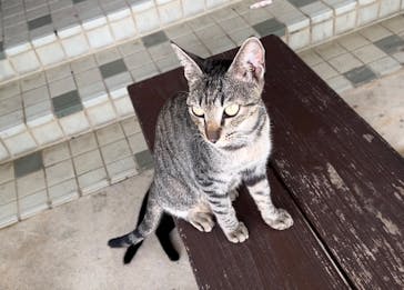 石垣島鍾乳洞に投稿された画像（2024/10/4）