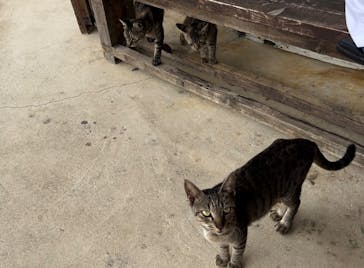 石垣島鍾乳洞に投稿された画像（2024/10/4）