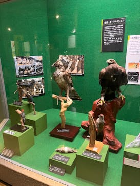 岐阜県博物館に投稿された画像（2024/10/4）