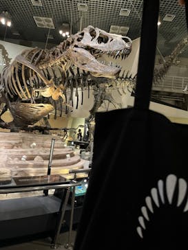 国立科学博物館に投稿された画像（2024/10/5）