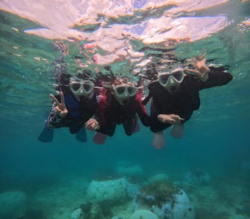 沖縄マリンサービス碧に投稿された画像（2024/10/5）