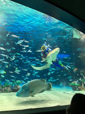 サンシャイン水族館に投稿された画像（2024/10/5）