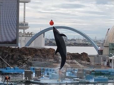 名古屋港水族館に投稿された画像（2024/10/5）