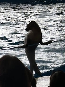 アクアワールド茨城県大洗水族館に投稿された画像（2024/10/5）