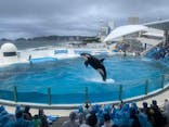 鴨川シーワールドに投稿された画像（2024/10/5）