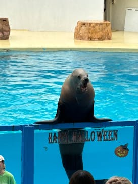 伊豆・三津シーパラダイスに投稿された画像（2024/10/5）