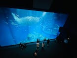アクアワールド茨城県大洗水族館に投稿された画像（2024/10/5）
