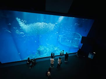 アクアワールド茨城県大洗水族館に投稿された画像（2024/10/5）
