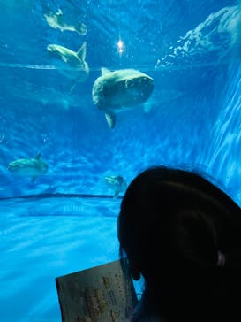 アクアワールド茨城県大洗水族館に投稿された画像（2024/10/5）