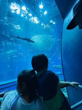 アクアワールド茨城県大洗水族館に投稿された画像（2024/10/5）