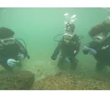 武藤潜水に投稿された画像（2024/10/5）