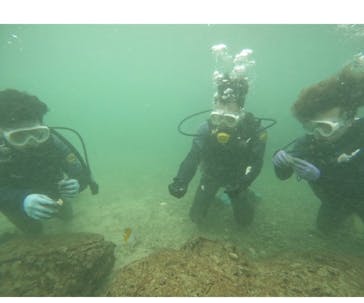 武藤潜水に投稿された画像（2024/10/5）