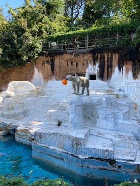天王寺動物園に投稿された画像（2024/10/5）