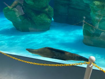 天王寺動物園に投稿された画像（2024/10/5）