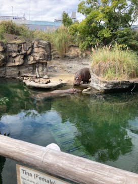 天王寺動物園に投稿された画像（2024/10/5）