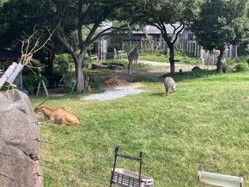 天王寺動物園に投稿された画像（2024/10/5）