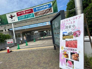 万博記念公園に投稿された画像（2024/10/5）