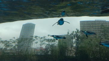 サンシャイン水族館に投稿された画像（2024/10/5）