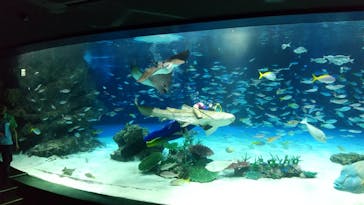 サンシャイン水族館に投稿された画像（2024/10/5）