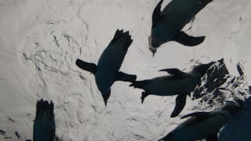 サンシャイン水族館に投稿された画像（2024/10/5）