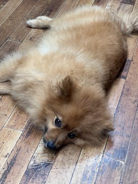 Countless River（カウントレスリバー）に投稿された画像（2024/10/5）