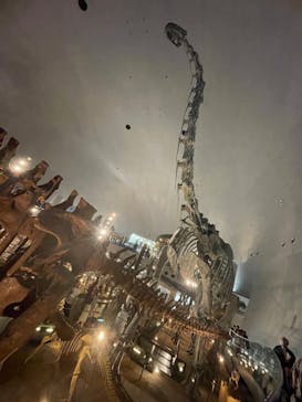 福井県立恐竜博物館に投稿された画像（2024/10/5）