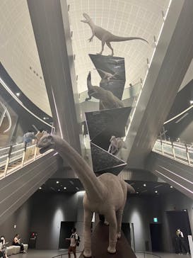 福井県立恐竜博物館に投稿された画像（2024/10/5）