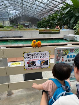 掛川花鳥園に投稿された画像（2024/10/5）