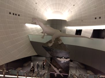 福井県立恐竜博物館に投稿された画像（2024/10/5）