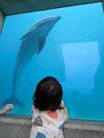 越前松島水族館に投稿された画像（2024/10/5）