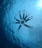 西表島 ADVENTURE PiPi（アドベンチャーピピ）に投稿された画像（2024/10/5）