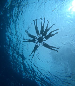 西表島 ADVENTURE PiPi（アドベンチャーピピ）に投稿された画像（2024/10/5）