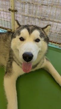 つくばわんわんランドに投稿された画像（2024/10/5）