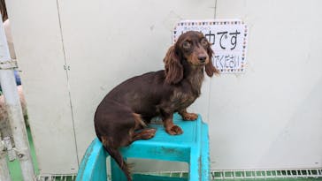 つくばわんわんランドに投稿された画像（2024/10/5）