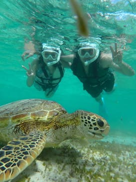 nico 宮古島に投稿された画像（2024/10/5）