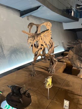 福井県立恐竜博物館に投稿された画像（2024/10/5）