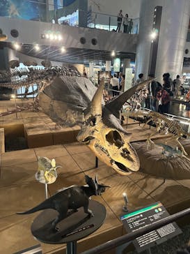 福井県立恐竜博物館に投稿された画像（2024/10/5）